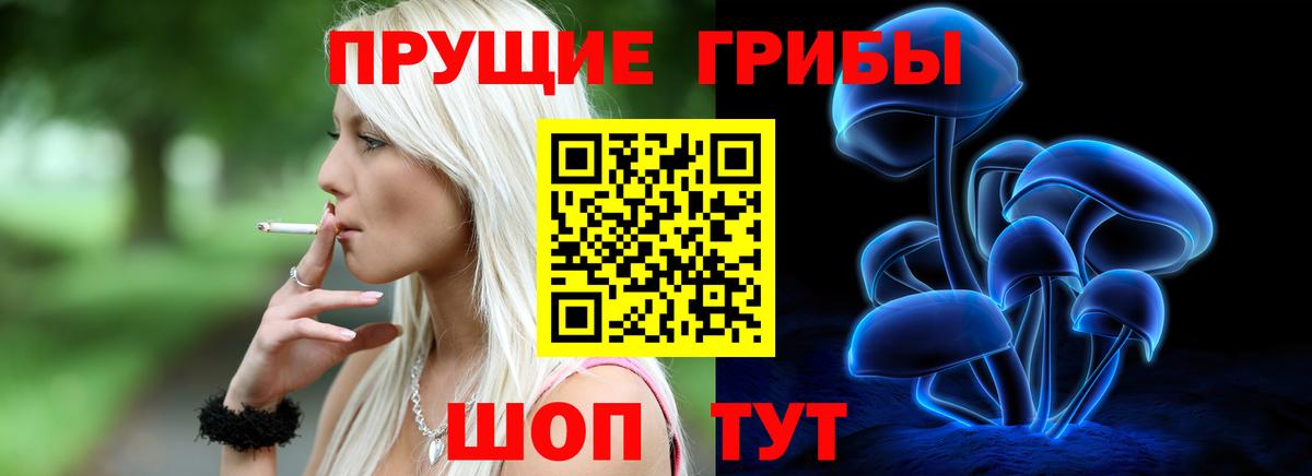 Псилоцибиновые грибы Psilocybine cubensis Нижневартовск