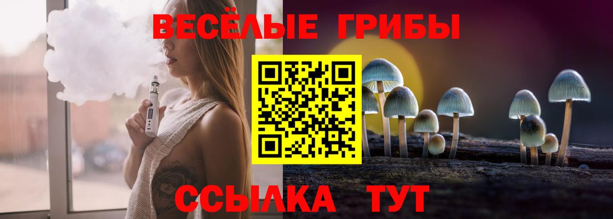 Псилоцибиновые грибы Magic Shrooms  магазин продажи   Нижневартовск  Галлюциногенные грибы Psilocybe  Вход с VPN 